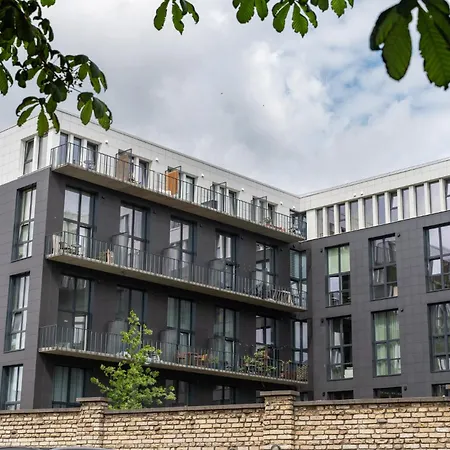 公寓 Cinema Loft - Self Check In *